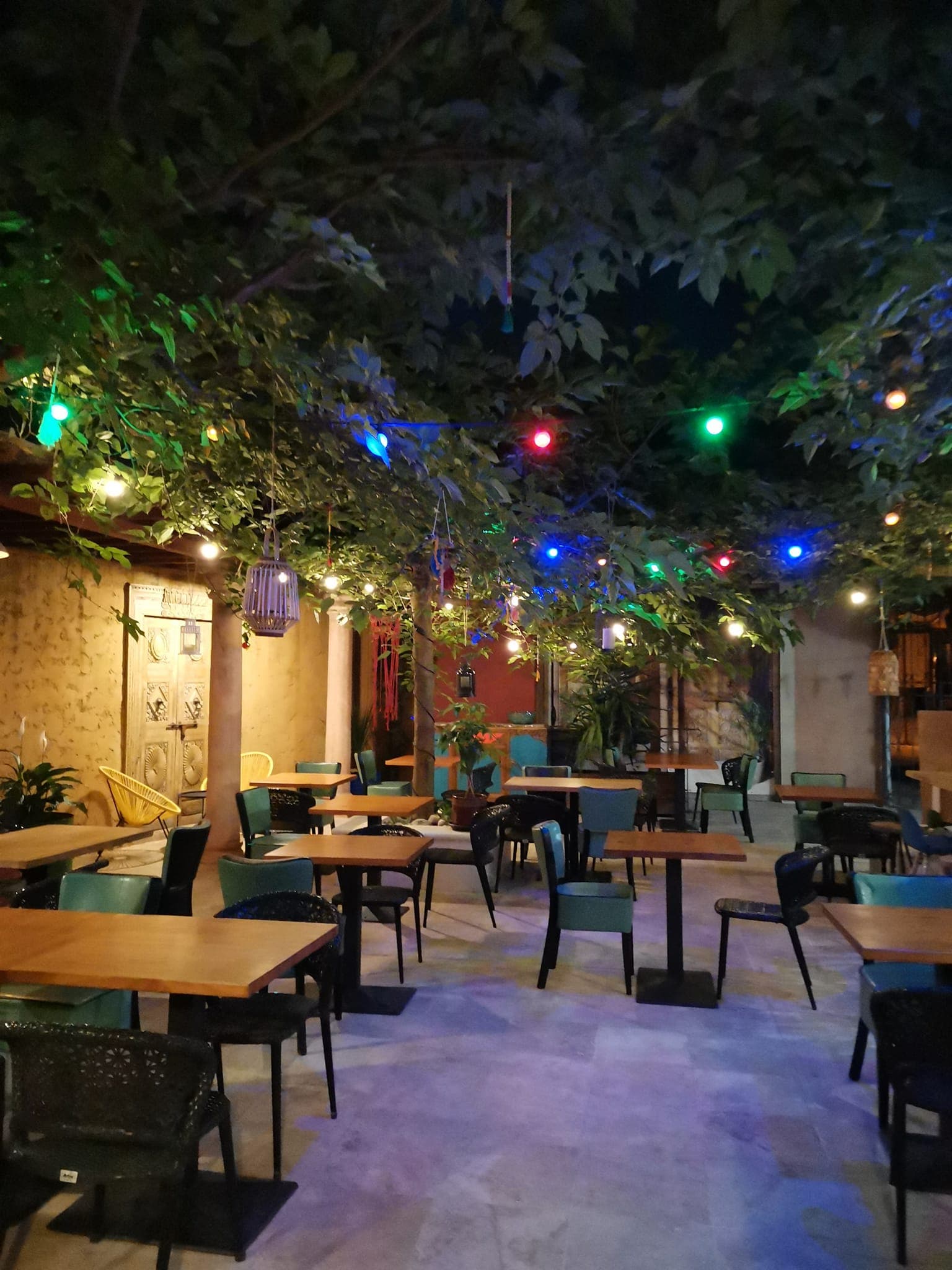 Terrasse du Quésaco la nuit sous le feuillage avec guirlandes lumineuses