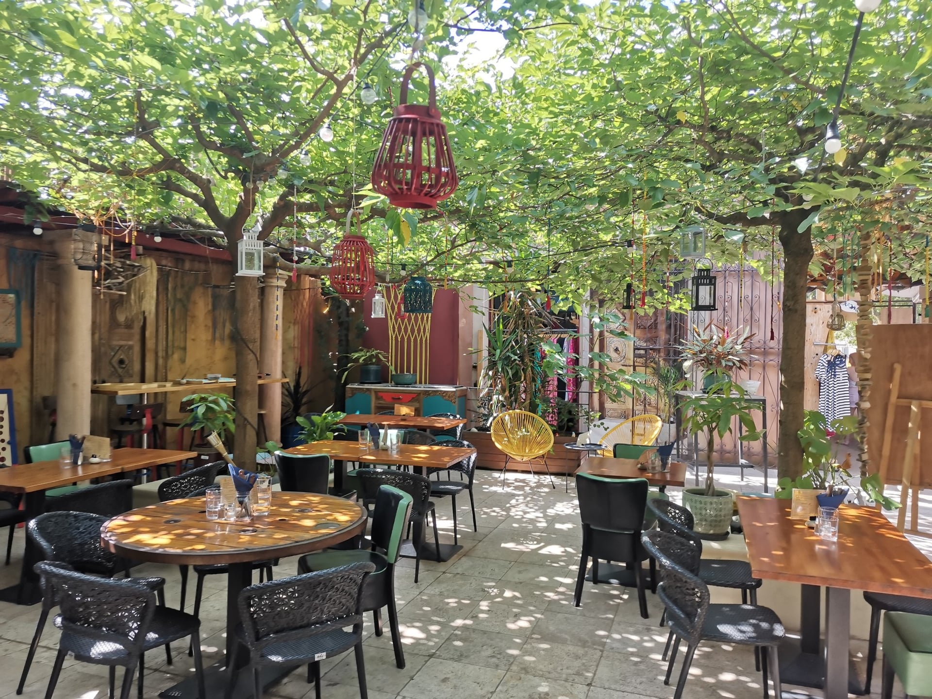 Terrasse végétale du Quésaco sous une treille de feuillage en plein jour